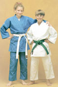 Randori-1.JPG (7776 bytes)