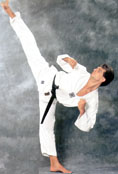 TKD-kimono-1.JPG (6955 bytes)